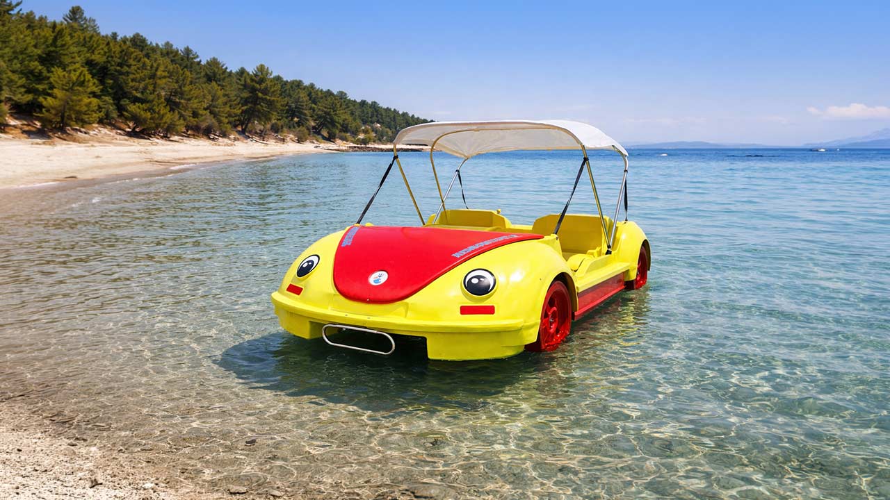 HydroBeetle1